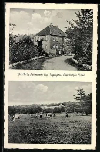 AK Töpingen /Lüneburger Heide, Gasthaus Hermanns-Eck, Kühe