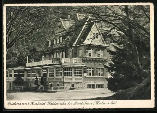 AK Montabaur /Westerwald, Spielmanns Kurhotel Waldesruhe
