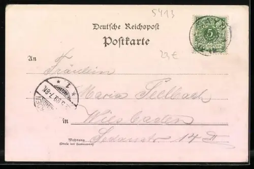 AK Sayn, Kaiser Wilhelm-Höhe, Ortsansicht aus der Vogelschau