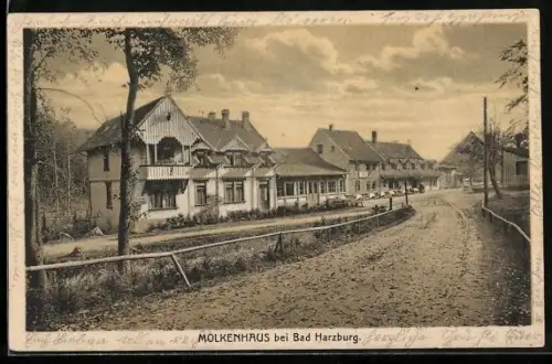 AK Bad Harzburg, Gasthof Molkenhaus mit Strassenpartie