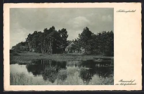 AK Fallingbostel, Bauernhof in Adolphsheide