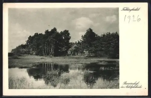 AK Fallingbostel, Bauernhof in Adolphsheide