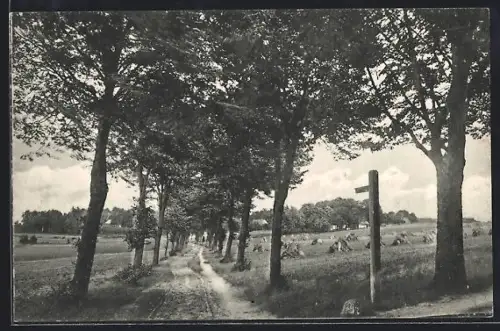 AK Fallingbostel, Adolfsheide 1910