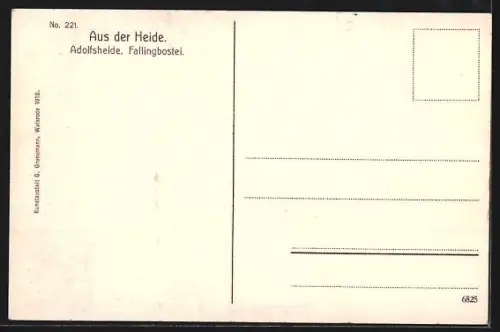 AK Fallingbostel, Adolfsheide 1910