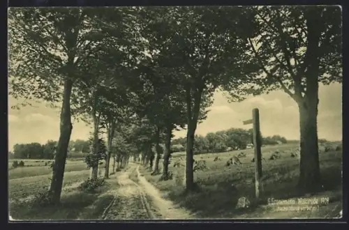 AK Fallingbostel, Adolphsheide, 1908