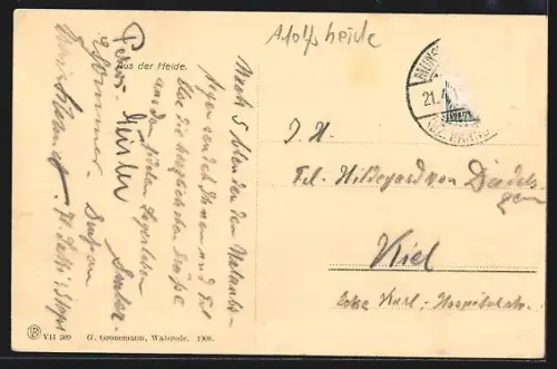 AK Fallingbostel, Adolphsheide, 1908