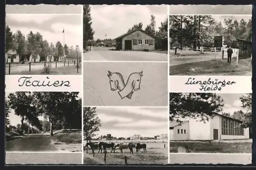 AK Trauen /Lüneburger Heide, Landstrasse, Weide