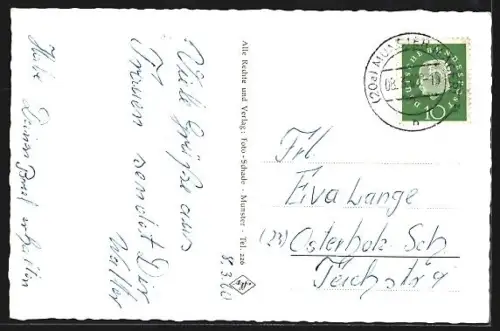 AK Trauen /Lüneburger Heide, Landstrasse, Weide