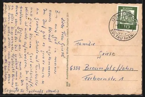 AK Trauen /Lüneburger Heide, Geschäftshaus V. Lewandowski, Schule und Heidepartie