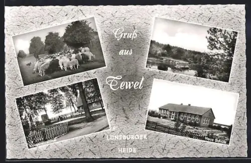 AK Tewel über Soltau, Neue Schule, Kriegerehrenmal, Schafherde