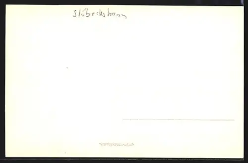 AK Stübeckshorn, Totalansicht, Fliegeraufnahme