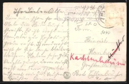 AK Stübeckshorn /Soltau, Heilstätte, Ententeich