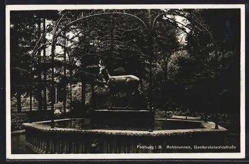 AK Freiburg i. B., Rehbrunnen in der Gunterstalwaldstrasse
