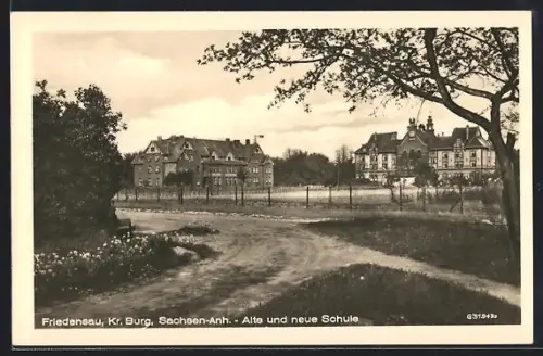 AK Friedensau bei Burg, Alte und neue Schule