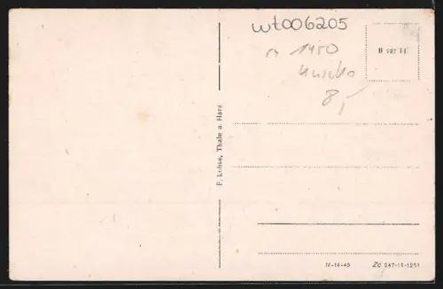 AK Friedensau, Neue Schule