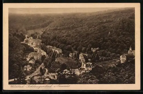 AK Schlangenbad, Blick auf Ort und bewaldete Hügel