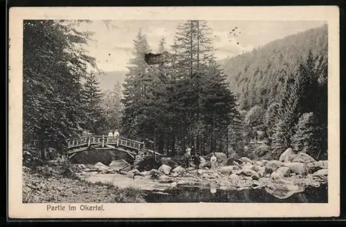 AK Okertal, Partie mit kleiner Brücke