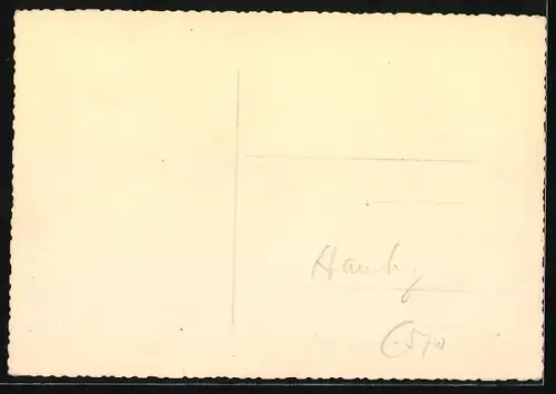 AK Berlin, Tiergarten, Parkhaus im Englischen Garten