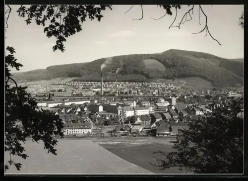 Foto-AK Goslar, Panorama mit Fabriken und Umgebung