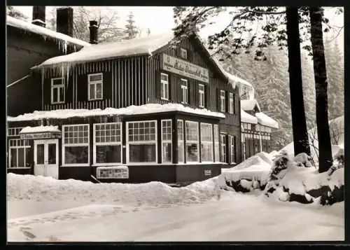 AK Bad Harzburg, Waldgaststätte Radau-Wasserfall im Winter, Bes. H. Pages