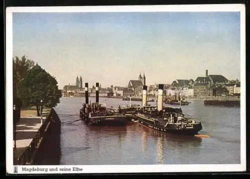 AK Magdeburg, Elbpartie mit Schiffen