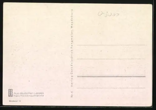 AK Magdeburg, Elbpartie mit Schiffen