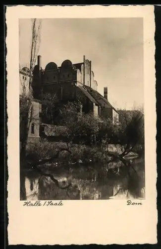 AK Halle /Saale, Blick zum Dom