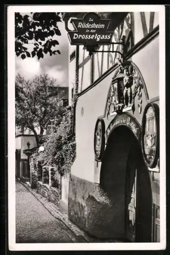 AK Rüdesheim am Rhein, Gasthof Drosselhof