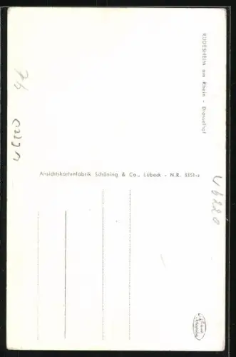 AK Rüdesheim am Rhein, Gasthof Drosselhof