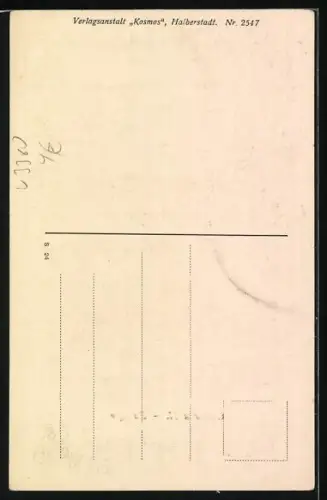 AK Goslar a. H., Blick zum Zwinger