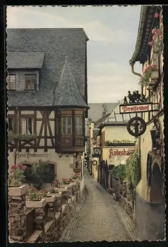 AK Rüdesheim am Rhein, Hotel Lindenwirt und Gasthaus Drosselhof in der Drosselgasse
