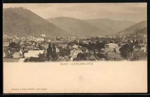 AK Bad Harzburg, Panoramaansicht des Ortes