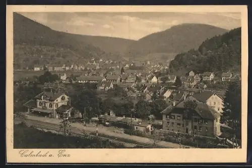 AK Calmbach a. Enz, Ortsansicht mit Bahnhofsgebäude