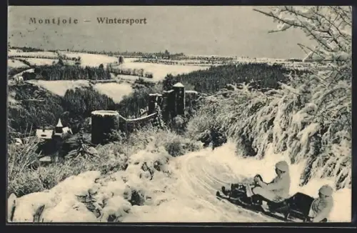 AK Montjoie, Schlittenfahrer im Schnee