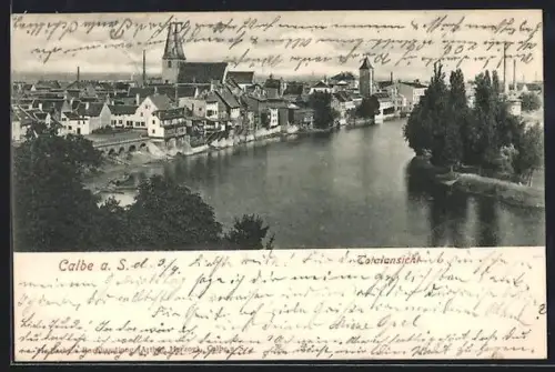 AK Calbe a. S., Ortsansicht mit Flusspartie