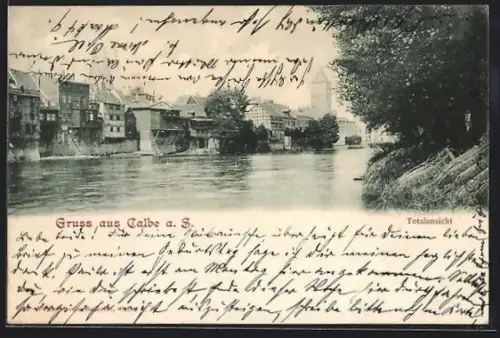 AK Calbe a. S., Saalepartie mit Blick zum Ort