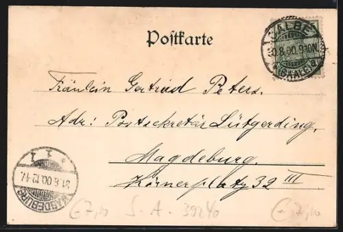 AK Calbe a. S., Saalepartie mit Blick zum Ort