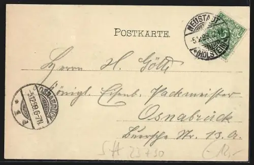 AK Neustadt i. Holst., Partie am Hafen mit Segelbooten