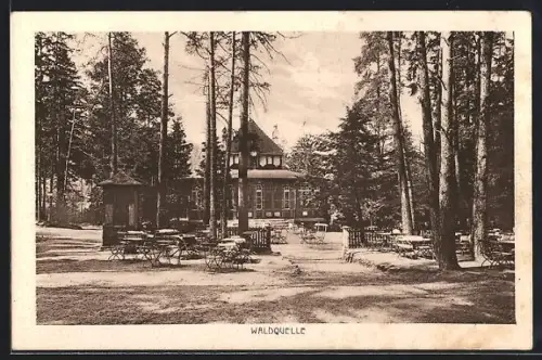 AK Bad Elster, Staatliches Kurhaushotel in der Aussenansicht