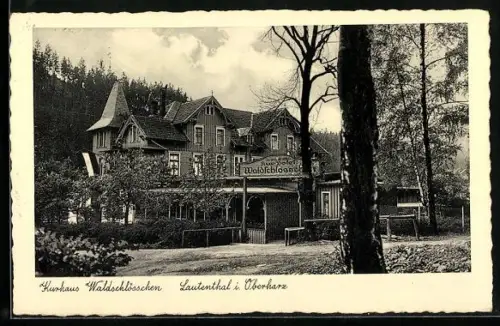 AK Lautenthal i. Oberharz, Kurhotel Waldschlösschen mit Grünanlagen