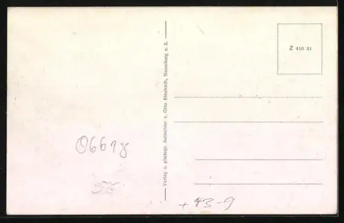 AK Naumburg a. S., Kirschfest, Buntes Treiben auf dem Festplatz