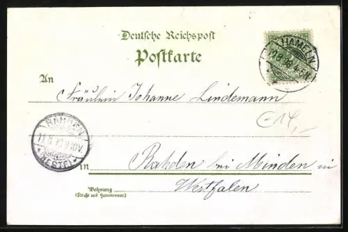 Lithographie Hameln, Totalansicht, Gertrudenbrunnen, Dreyers Berggarten & Klütthurm