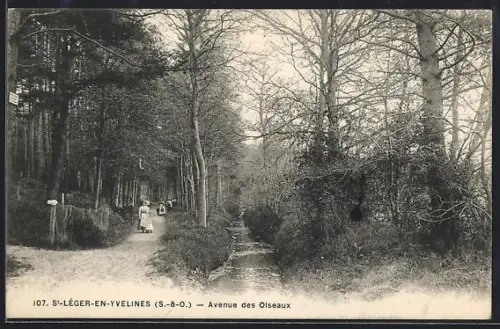 AK St-Léger-en-Yvelines /S.-et-O., Avenue des Oiseaux