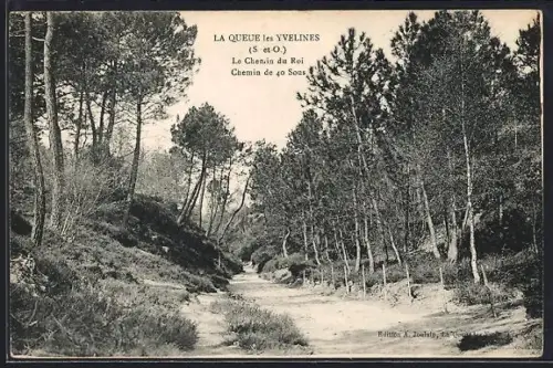 AK La Queue les Yvelines /S.-et-O., Le Chemin du Roi, Chemin de 40 sous