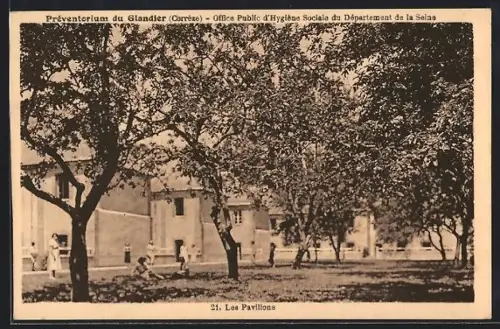 AK Le Glandier /Corrèze, Les Pavillons du Préventorium au milieu des arbres