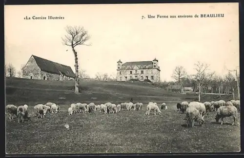 AK Beaulieu /Corrèze, Une ferme avec des moutons paissant dans le pré
