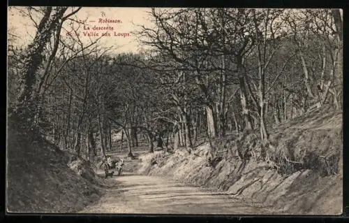 AK Robinson, La descente de la Vallée aux Loups