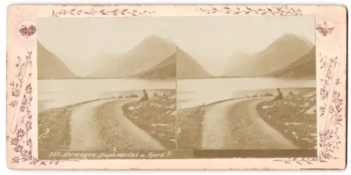 Stereo-Fotografie unbekannter Fotograf, Ansicht Suphelledal Strassenpartie mit Blick in den Fjord