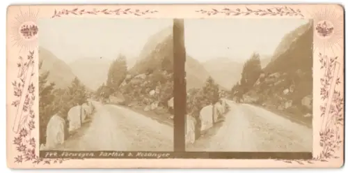 Stereo-Fotografie unbekannter Fotograf, Ansicht Hosanger, Strassenpartie nach Hosanger