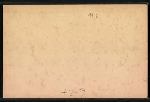 AK Frankfurt a. M., Privat-Circular-Beförderung, Private Stadtpost